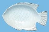 White Fish Ceramic Pottery Grouper Small Bowl 10 1/2"x6 3/4"x2"