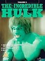 The Incredible Hulk Vol.2 [DVD] [1978]
