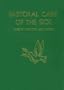 Pastoral Care of the Sick (Large)