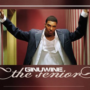 Ginuwine - The Senior [vinyl] - Zortam Music
