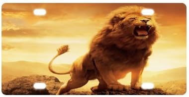 Lion License Plate with High-resolution Images -12" X 6" inches