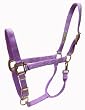 Hamilton Deluxe 1" Nylon Horse Halter with Adjustable Chin and Snap, Lavender, Small/Cob (500-800 lbs)