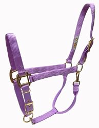 Hamilton Deluxe 1" Nylon Horse Halter with Adjustable Chin and Snap, Lavender, Small/Cob (500-800 lbs)