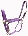 Hamilton Deluxe 1" Nylon Horse Halter with Adjustable Chin and Snap, Lavender, Small/Cob (500-800 lbs)