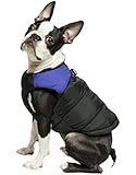 Gooby Padded Cold Weather Vest for Small Dogs with Safe Fur Guard Zipper Closure, Blue, Medium