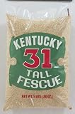 2 each: Barenbrug Kentucky 31 Tall Fescue Grass Seed (K315ACE00)