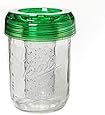 Ball Wide Mouth Mason Jar Infuser and Lid