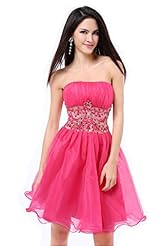 A-line Strapless Short Sleeveless Bubble Dress Organza Sequined Beaded Lace-Up Ruched Evening Dress/Prom Dress 