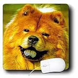 Dogs Chow Chow - Chow Chow - Mouse Pads