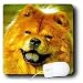 Dogs Chow Chow - Chow Chow - Mouse Pads