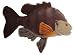 Sun Fish 7