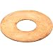 Phosphor Bronze Flat Washer