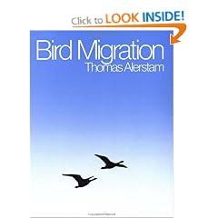 Bird Migration
