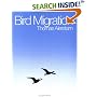 Bird Migration