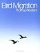Bird Migration