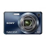 Sony Cyber-shot DSC-W290 12 MP Digital Camera with 5x Optical Zoom and Super Steady Shot Image Stabilization