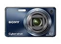 Sony Cyber-shot DSC-W290 12 MP Digital Camera with 5x Optical Zoom and Super Steady Shot Image Stabilization (Dark Blue)