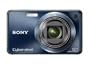Sony Cyber-shot DSC-W290 12 MP Digital Camera with 5x Optical Zoom and Super Steady Shot Image Stabilization (Dark Blue)