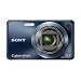 Sony Cyber-shot DSC-W290 12 MP Digital Camera with 5x Optical Zoom and Super Steady Shot Image Stabilization (Dark Blue)