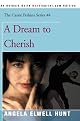 A Dream to Cherish (Cassie Perkins)