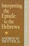 Interpreting the Epistle to the Hebrews (Guides to New Testament Exegesis)