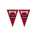 Arizona Wildcats NCAA 25Ft String Of 6 x 9 Party Pennants (Flags)