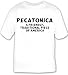 Pecatonica: A Friendly, Traditional Piece Of America T-shirt Large White