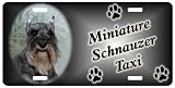 Miniature Schnauzer cropped silver Personalized 