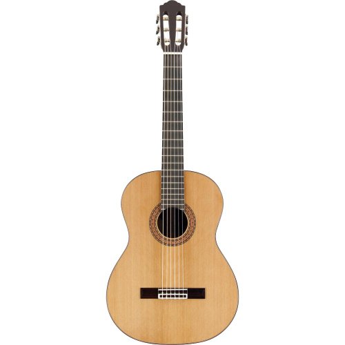 GC-2 Nylon String Guitar Hardshell Case