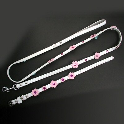 White Dog Collar with Lead, Leather Leash and Collar