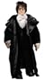 Harry Potter Doll in Dress Robes