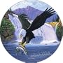 Sanctuary Spare Tire Cover