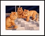 Lions on the Loose by Drew Strouble