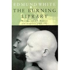 The Burning Library: Writings on Art, Politics and Sexuality, 1969-93