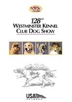 128th Westminster Kennel Club
