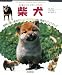 柴犬―わが家のペットビギナーズガイド (ANIMAL POCKET BOOK SERIES)