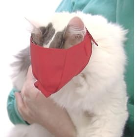 Quick Muzzle Cat - Set of 3