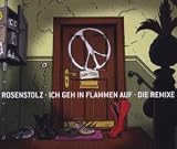Ich Geh in Flammen auf (Cd2) - Rosenstolz