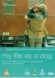 My Life As a Dog [DVD]