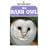 The Barn Owl (Shire Natural History)