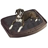 IMAGE OF Bergan The Dog's Bed, Canteen, Medium