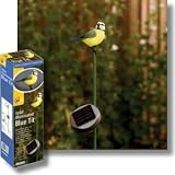 Solar Light Garden Bird - Blue Tit