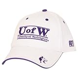 University of Washington Huskies 2-Location Logo Flex Fit Hat-OSFM