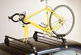 Review Professional  / Professional 1 Bike Roof Fitting Rack.