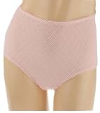 Barely Breezies Embroidered Mesh Brief Panty