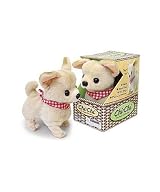 Westminster Chi-Chi Chihuahua