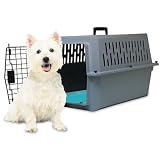 Canine Cooler Medium Pet Bed
