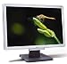 Acer AL1916WAs - Ecran Large TFT LCD - 19