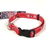 DALE EARNHARDT, JR. ADJUSTABLE DOG PET COLLAR SZ L