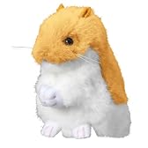夢ハムスター ゴールデンハムスター